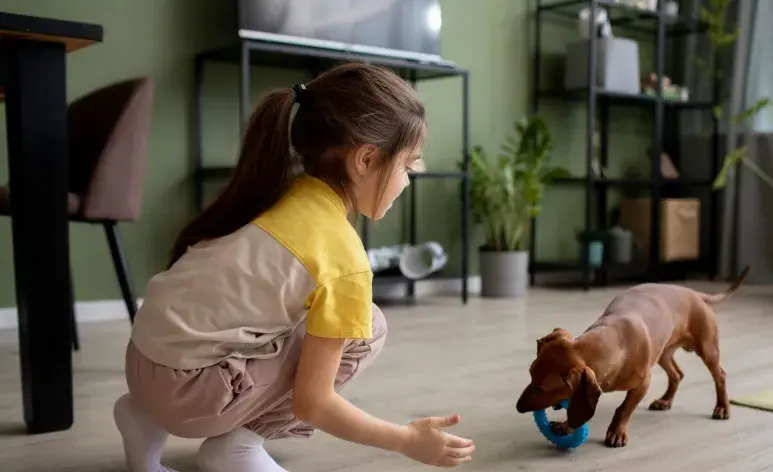 Los perros adoptados pueden sufrir algún trauma; con paciencia y amor desaparecerán.
