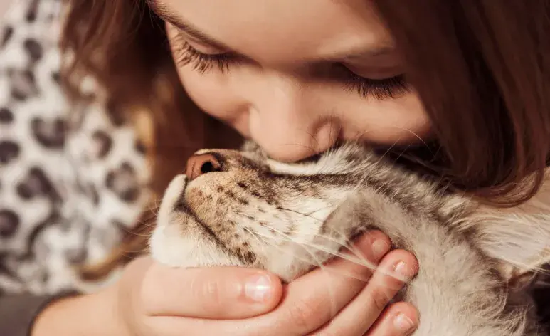 Los gatos necesitan sentirse seguros desde el primer día, así que acondiciona tu casa.