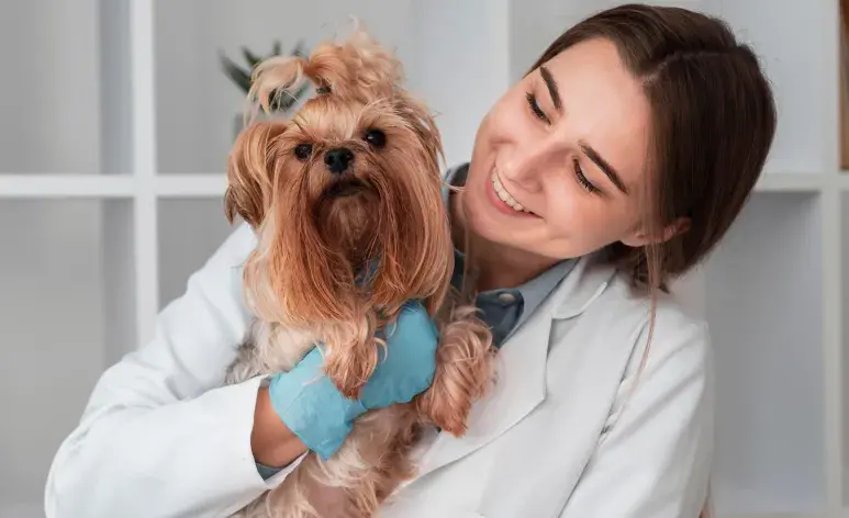 Llevar a tu cachorro al veterinario puede ayudarte a detectar problemas de salud.