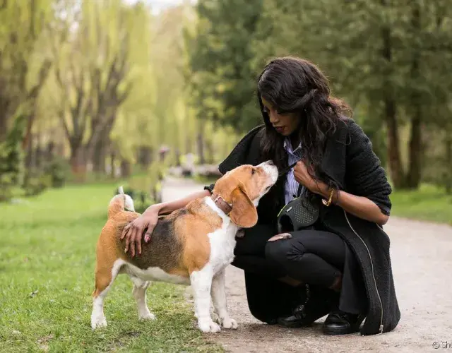 Perro de apoyo emocional