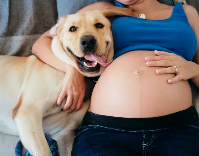 dona gravida e cachorro