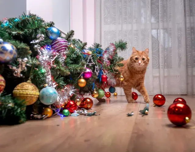 arvore de natal caída ao lado de gato