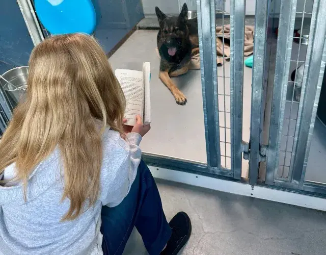 menina lendo para cachorro abandonado 