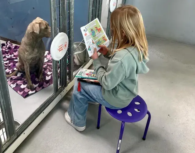 Menina lendo para cachorro abandonado