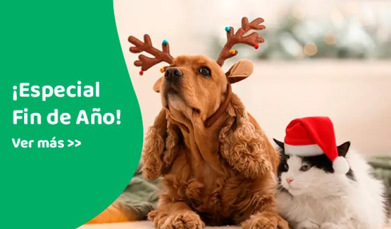 Imagen de categoría ¡Especial Fin de Año!